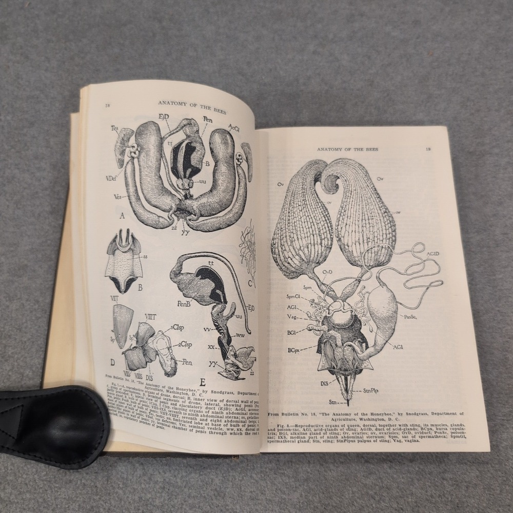 ABC and XYZ of Bee Culture A.I. Root 1947 Edition Hardcover Beekeeping Book - Picture 8 of 10